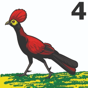 Carta